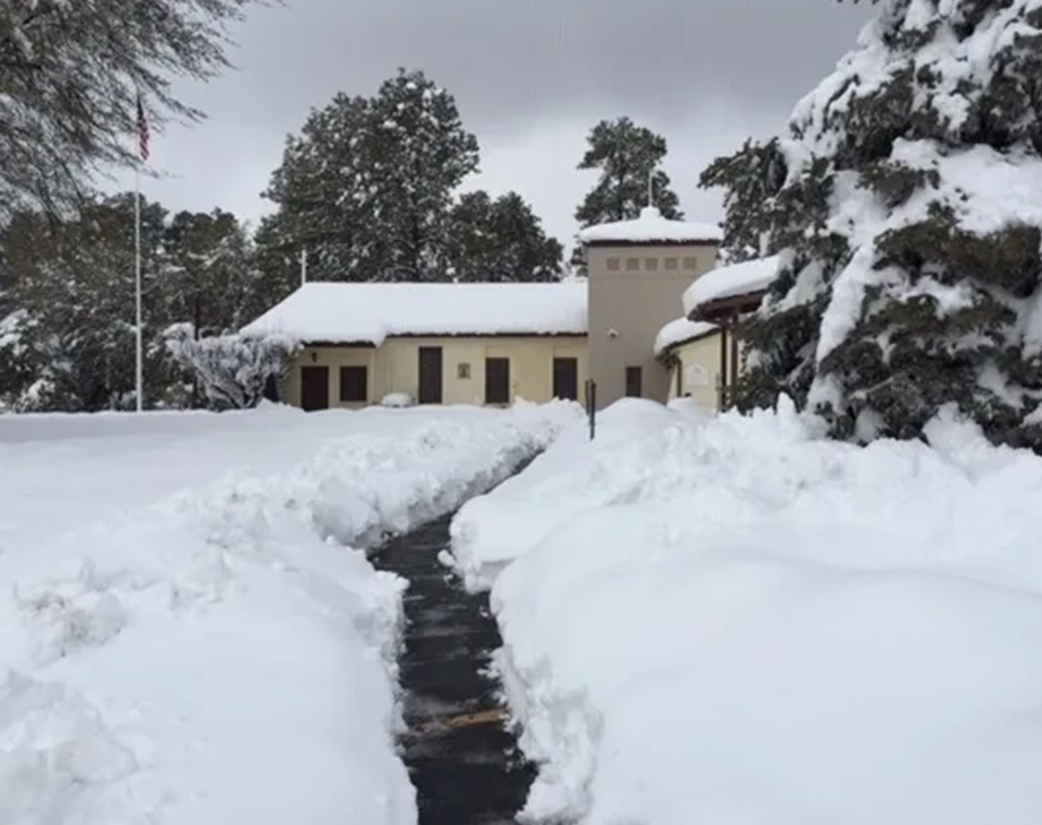 A house with snow on the ground and trees