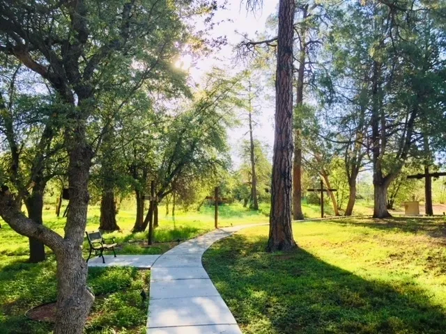 A park with trees and benches in the background.